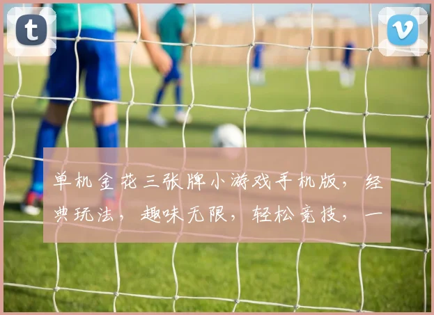 单机金花三张牌小游戏手机版，经典玩法，趣味无限，轻松竞技，一触即达，三逗乐翻天