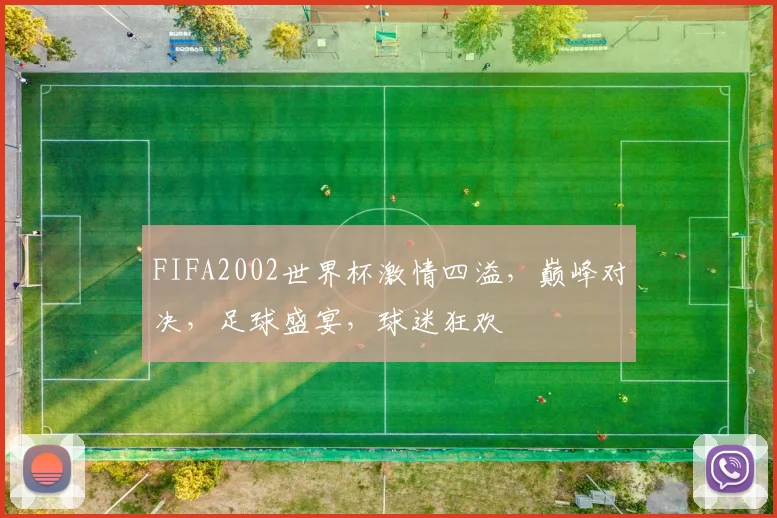 FIFA2002世界杯激情四溢，巅峰对决，足球盛宴，球迷狂欢