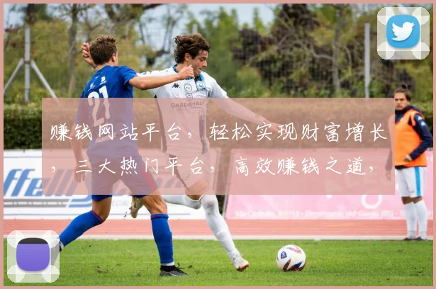 赚钱网站平台，轻松实现财富增长，三大热门平台，高效赚钱之道，不容错过