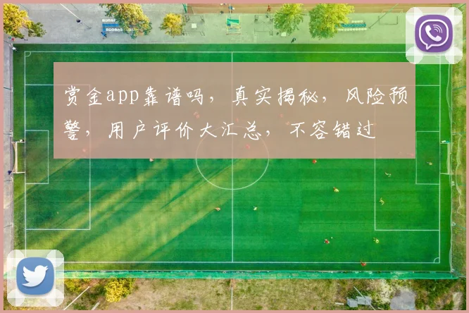赏金app靠谱吗，真实揭秘，风险预警，用户评价大汇总，不容错过