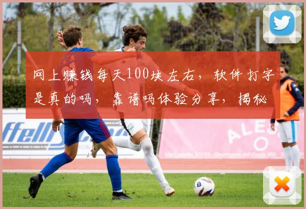 网上赚钱每天100块左右，软件打字是真的吗，靠谱吗体验分享，揭秘真相